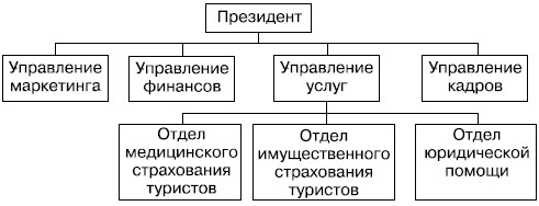 Организационная структура страховой компании "Турарго"
