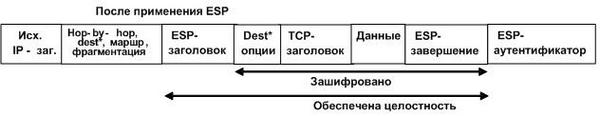 Вложенность заголовков после применения ESP в транспортном режиме в IPv6