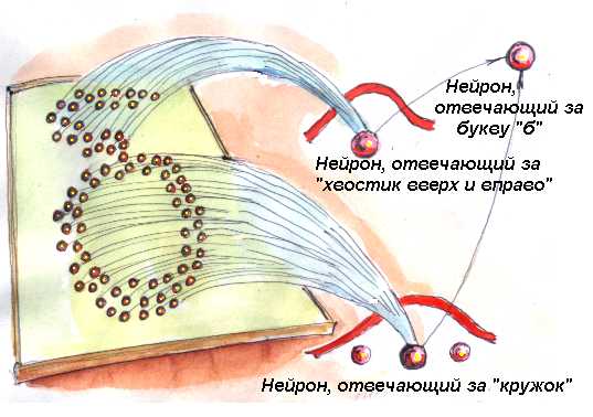 Распознавание буквы по признакам