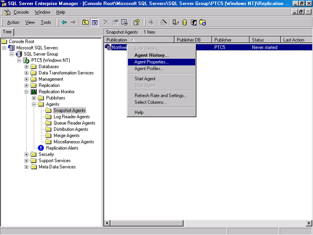 Публикация, представленная в окне Enterprise Manager