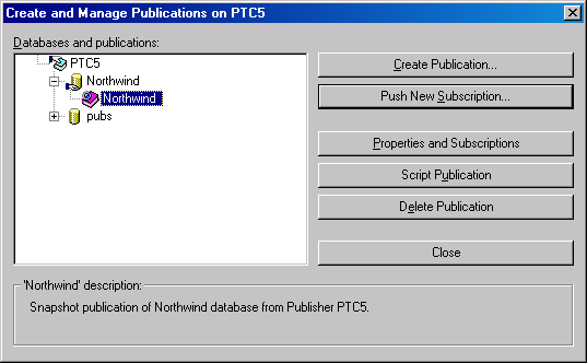 Публикация, выбранная в диалоговом окне Create and Manage Publications (Создание и управление публикациями)