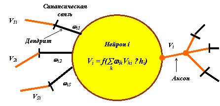 Модель нейрона