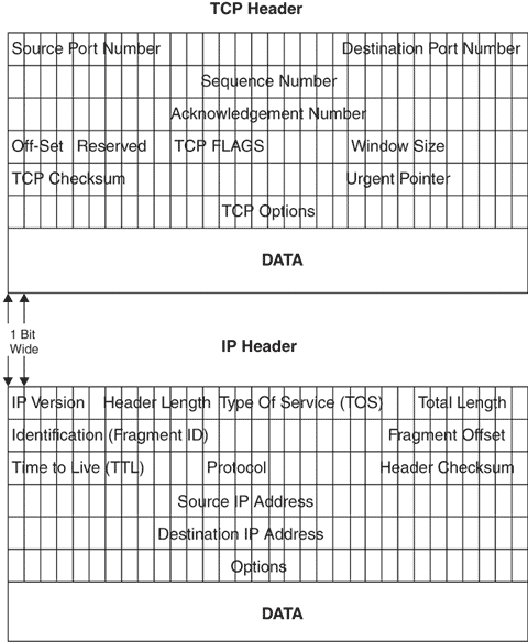 Заголовок TCP/IP