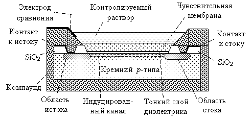 Структура химически чувствительного полевого транзистора (ХЧПТ)