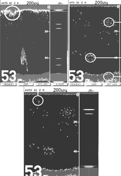 Сравнение изображений подводной обстановки