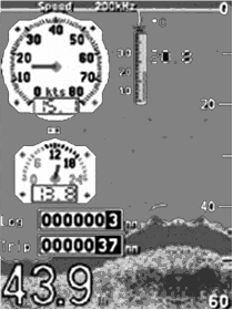 Некоторые аналоговые приборы на экране цифрового эхолота