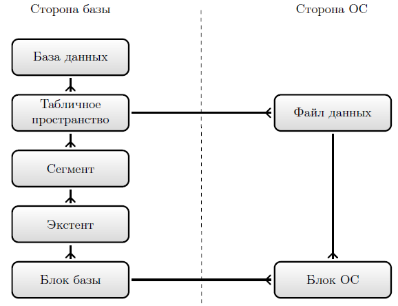 Структуры базы данных