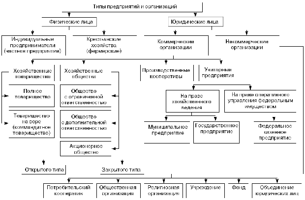 Основные виды организаций