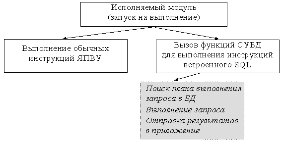 Схема выполнения программы с встроенными инструкциями статического SQL