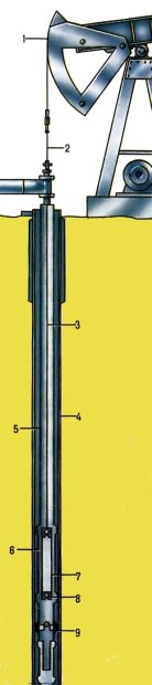 Штанговая насосная установка: 1 - станок-качалка; 2 - полированный шток; 3 - колонна штанг; 4 - обсадная колонна; 5 - насосно-компрессорные трубы; 6 - цилиндр насоса; 7 - плунжер насоса; 8 - нагнетательный клапан; 9 - всасывающий клапан