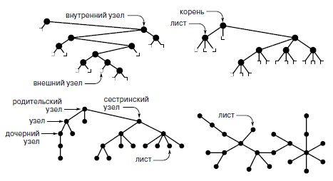 Типы деревьев