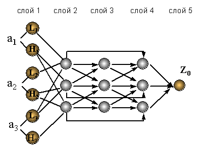 Нейронная сеть (нечеткий персептрон), входами которой являются лингвистические переменные, выходом -  четкое значение величины портфеля. Скрытые слои в нечетком персептроне называются слоями правил