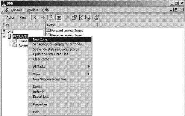 Microsoft DNS Manager