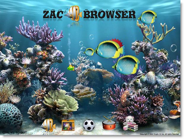 Главное окно браузера ZAC.