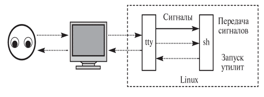 Интерфейс командной строки.    Издание второе, переработанное и дополненное.    Взаимодействие пользователя с компьютером посредством терминала и оболочки.