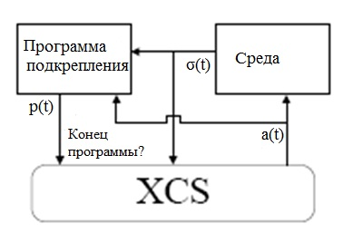 Взаимодействие XCS систем с окружением и программой обучения