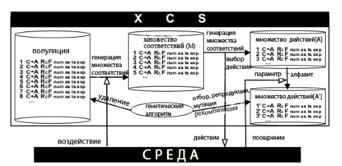 Общая структура XCS