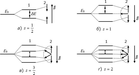 Расщепление энергетического уровня частицы со спином в постоянном магнитном поле: 1 – расщепленные энергетические уровни; 2 – разрешенные ориентации магнитного момента относительно направления поля