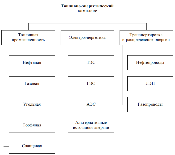 Общая структура топливно-энергетического комплекса