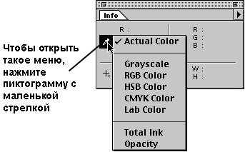 Ниспадающее меню палитры Info