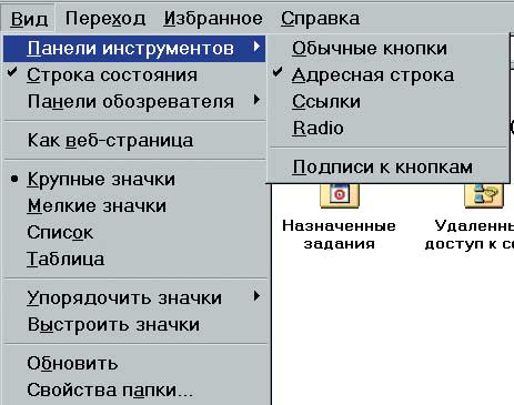 В окне задачи "Мой компьютер" присутствует только адресная строка, т.к. флажок ("галочка") стоит только в этой строке