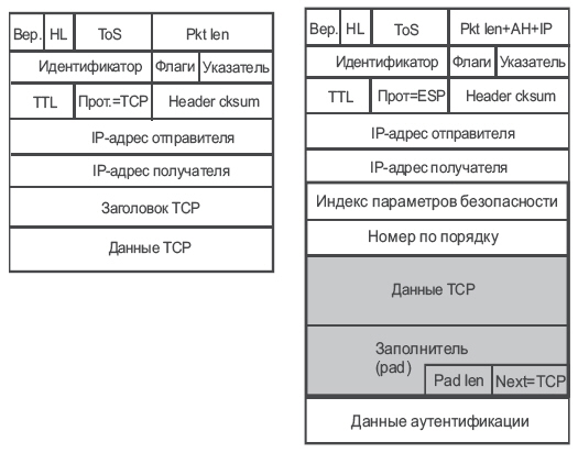 Структура данных в пакете для протокола ESP в транспортном режиме