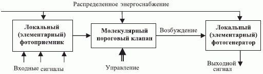 Структура органометаллического биокристалла