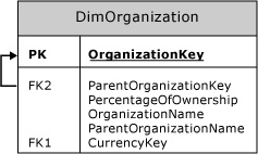  Таблица измерения DimOrganization