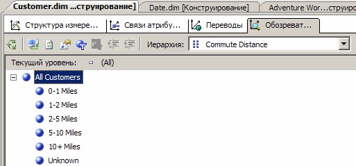  Элементы иерархии атрибута "Commute Distance"