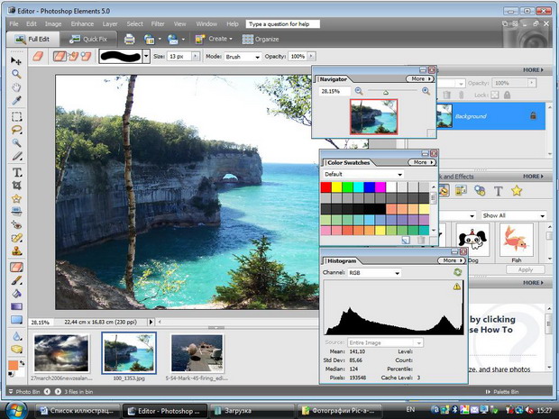 Отключаемые панели - расширенный режим Adobe Photoshop Elements