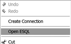 Для создания ESQL-модуля по умолчанию выберите пункт меню Open ESQL (Открыть ESQL)