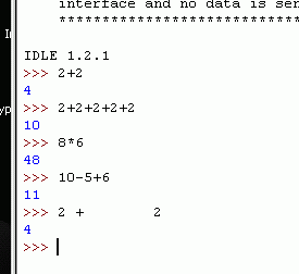 What the IDLE window looks like after entering instructions.