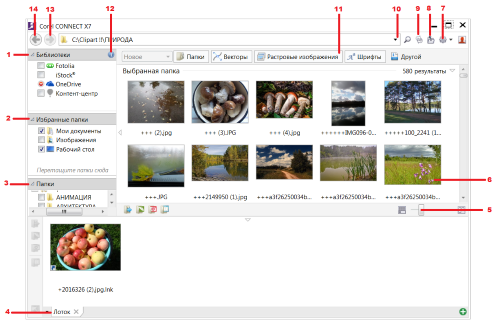 Интерфейс приложения Corel CONNECT