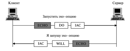 Пример эхо-опции