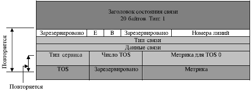 LSA Состояния связи маршрутизатора