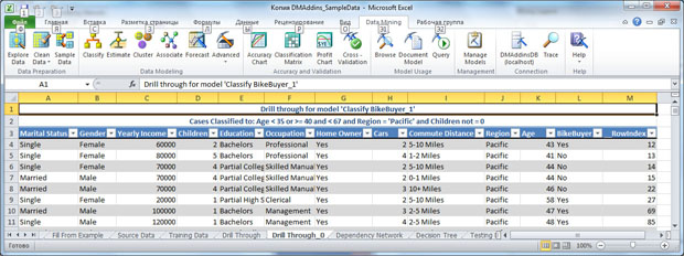 Результат выполнения DrillThroughModelColumns