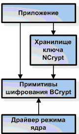 Архитектура CNG