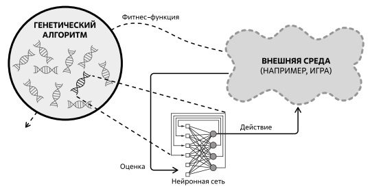  Принципиальная схема нейроэволюции. Источник: [50]