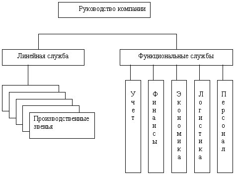 Линейно-функциональная структура