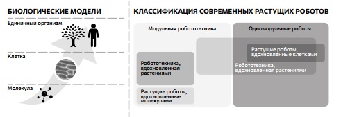 Классификация растущих роботов 