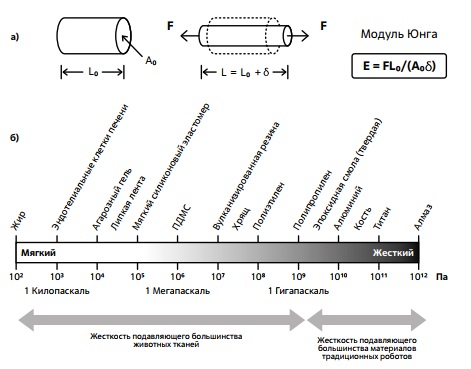 Сравнение жесткости разных материалов животного и искусственного происхождения 