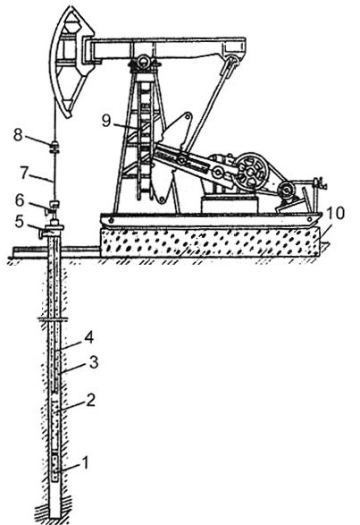 Схема установки штангового скважинного насоса Штанговая глубинная насосная установка состоит из скважинного насоса 2 вставного или невставного типов, насосных штанг 4 насосно- компрессорных труб 3, подвешенных на планшайбе или в трубной подвеске 8, сальникового уплотнения 6, сальникового штока 7, станка- качалки 9, фундамента 10 и тройника 5. На приеме скважинного насоса устанавливается защитное приспособление в виде газового или песочного фильтра 1.