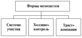 Формы мезоэкономических объединений