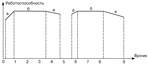 Типичная кривая работоспособности в течение рабочей смены
