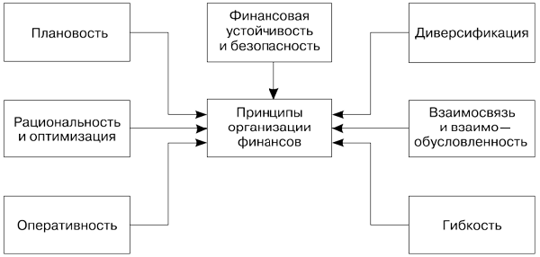 Принципы организации финансов страховой компании