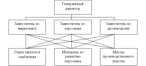  Функциональная структура управления.