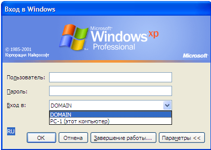 Окно выбора вариантов входа в Windows