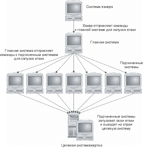 Структура инструментального средства для выполнения DDoS-атаки