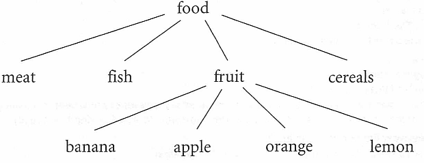 Hiponyms and superordinates