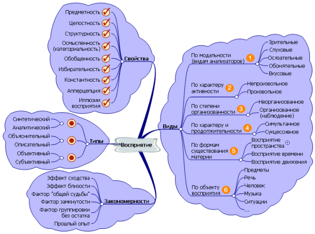 Виды, типы, свойства и закономерности восприятия